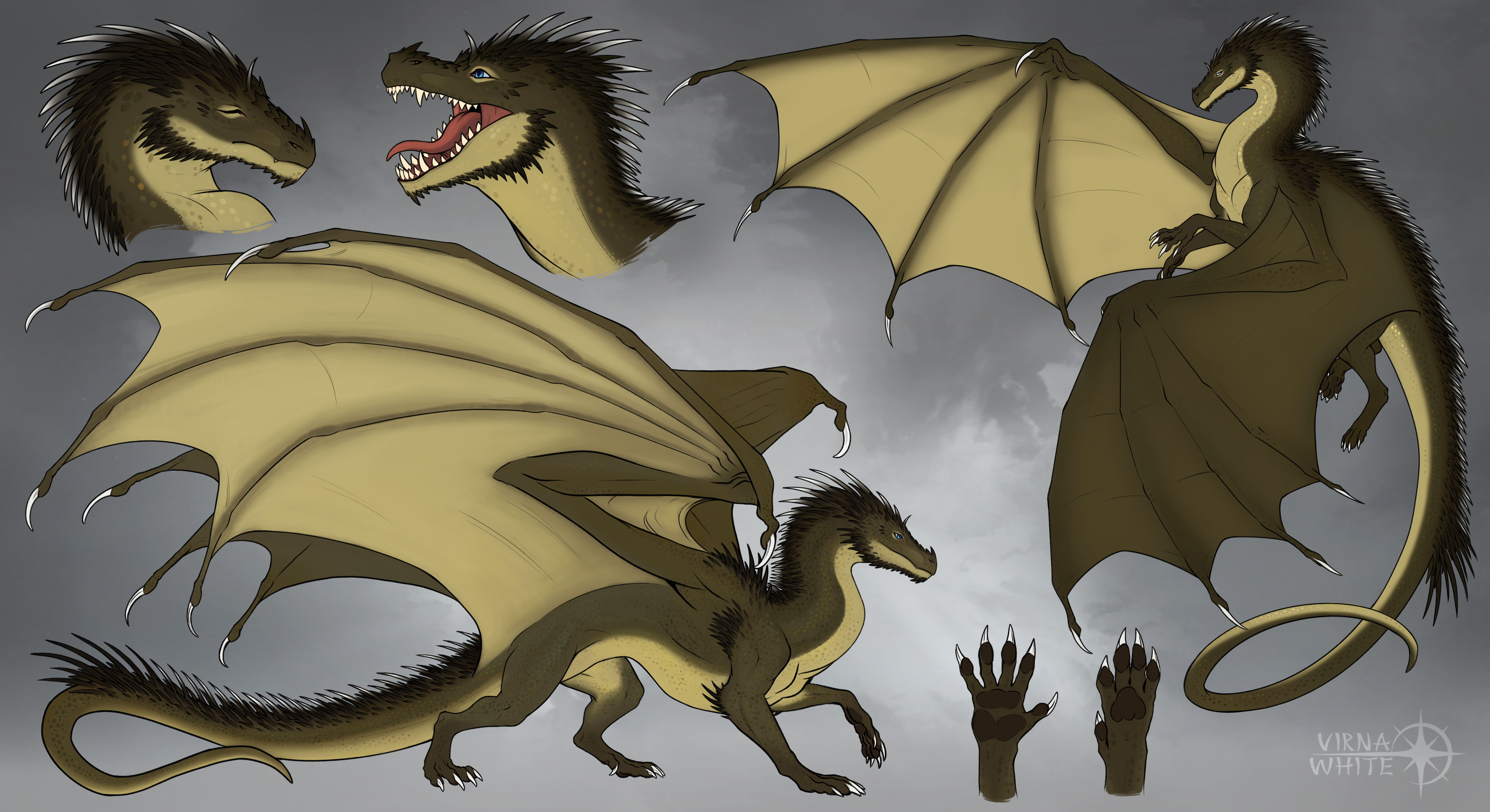 Reference sheet of the dragon Ahndeleck featuring several poses, illustrated by Virna White