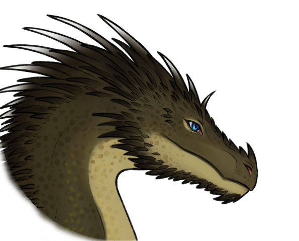 Dragon of Mine website logo
